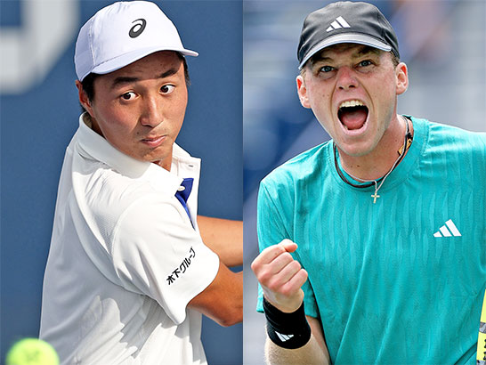 望月慎太郎、ミケルセン