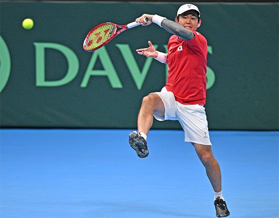 西岡良仁（デビス杯）