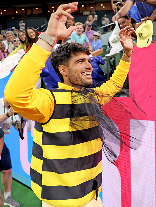 蜂の衣装を着るアルカラス