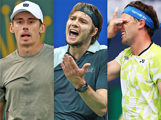 （左から）デ ミノー、ブブリク、ルード