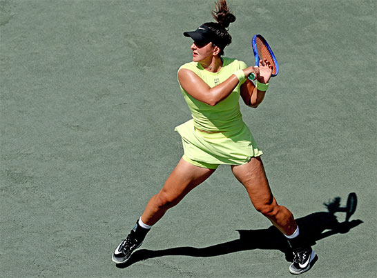 アンドレースク